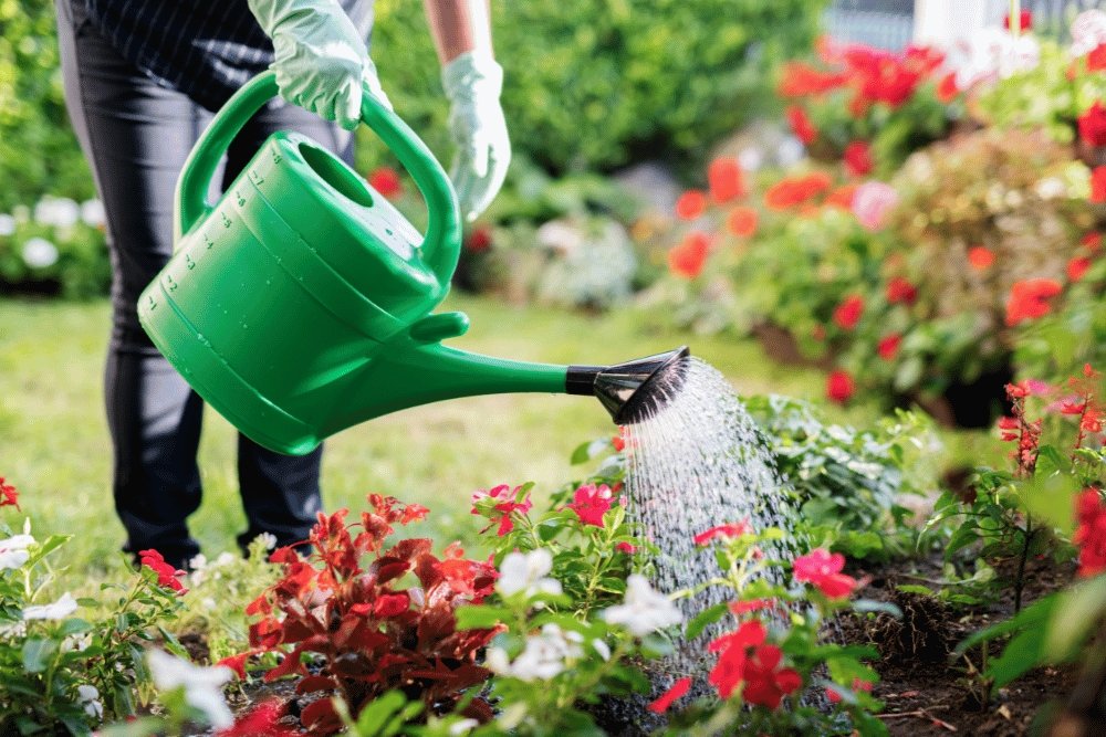 L'importance de l'eau purifiée pour vos plantes et votre jardin en Alsace - Reymann